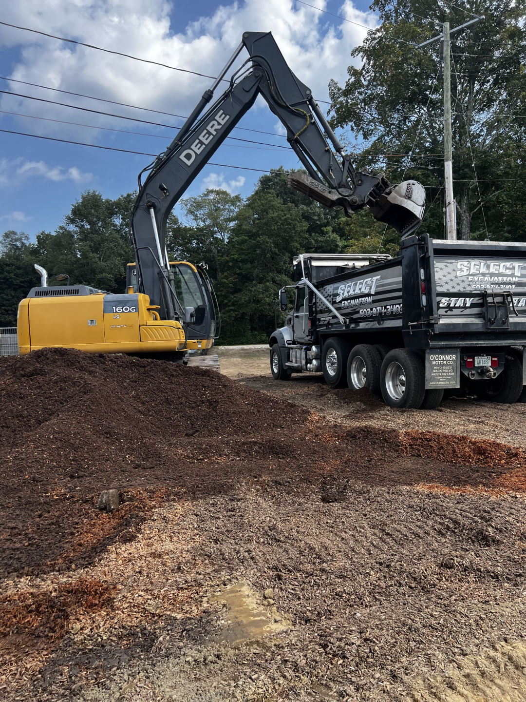 leach field replacement cost